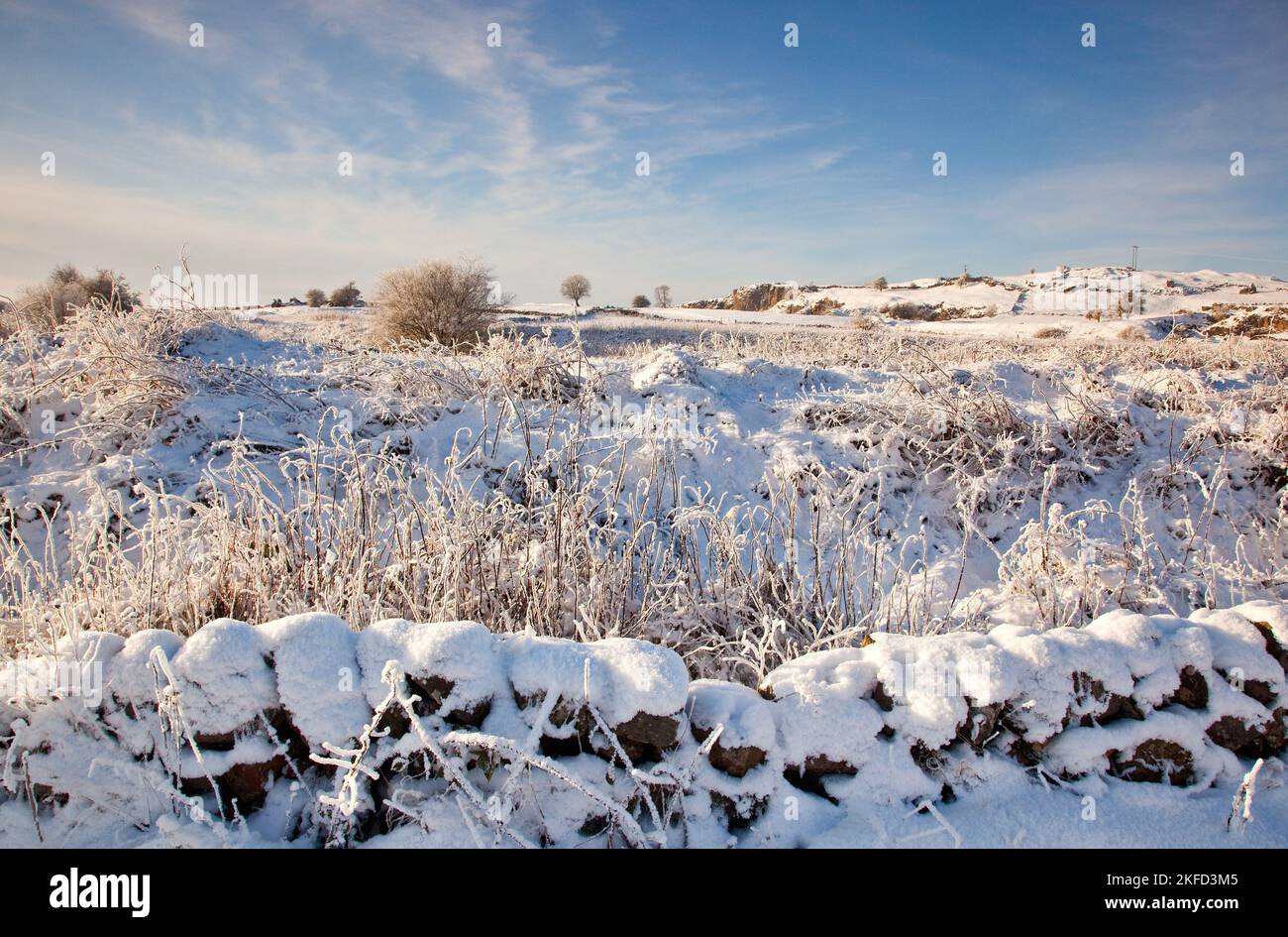 Winter mit blauem Himmel`s Schnee und frostbedeckte Felder und Bäume auf dem High Peak Trail (Midshires Way) im White Peak District Derbyshire Stockfoto